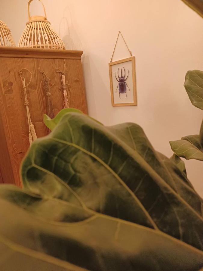 75M2 Indoor Glamping Scheveningen Lejlighed Haag Eksteriør billede